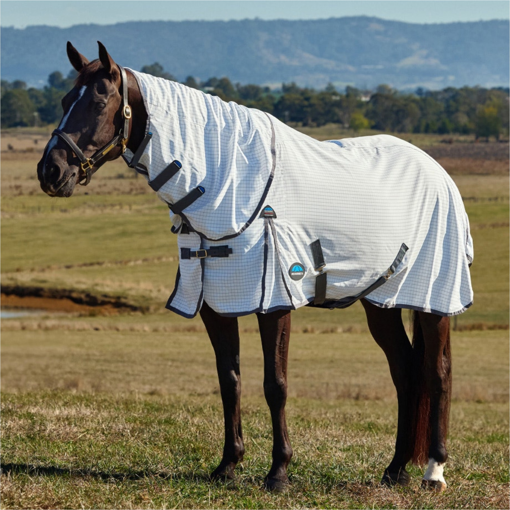 2026 WeatherBeeta Hybrid Combo Datenblatt 1029513001 - Weiß / Charcoal